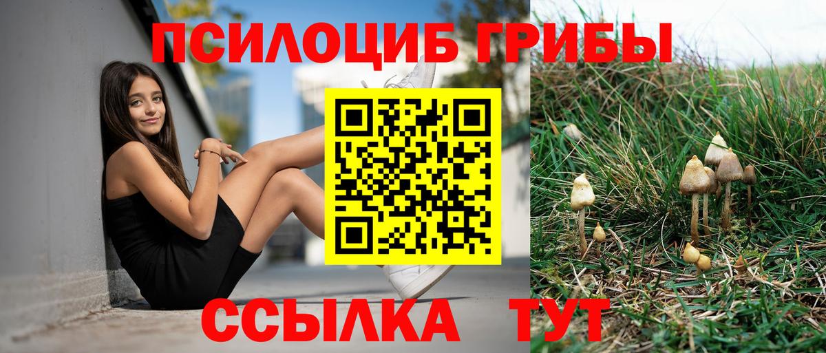 купить  цена  Галлюциногенные грибы мицелий  Вход с VPN  Орёл 